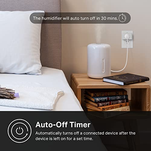 Smart Wi-Fi Plug with Energy Monitoring, Matter Support and Voice Control