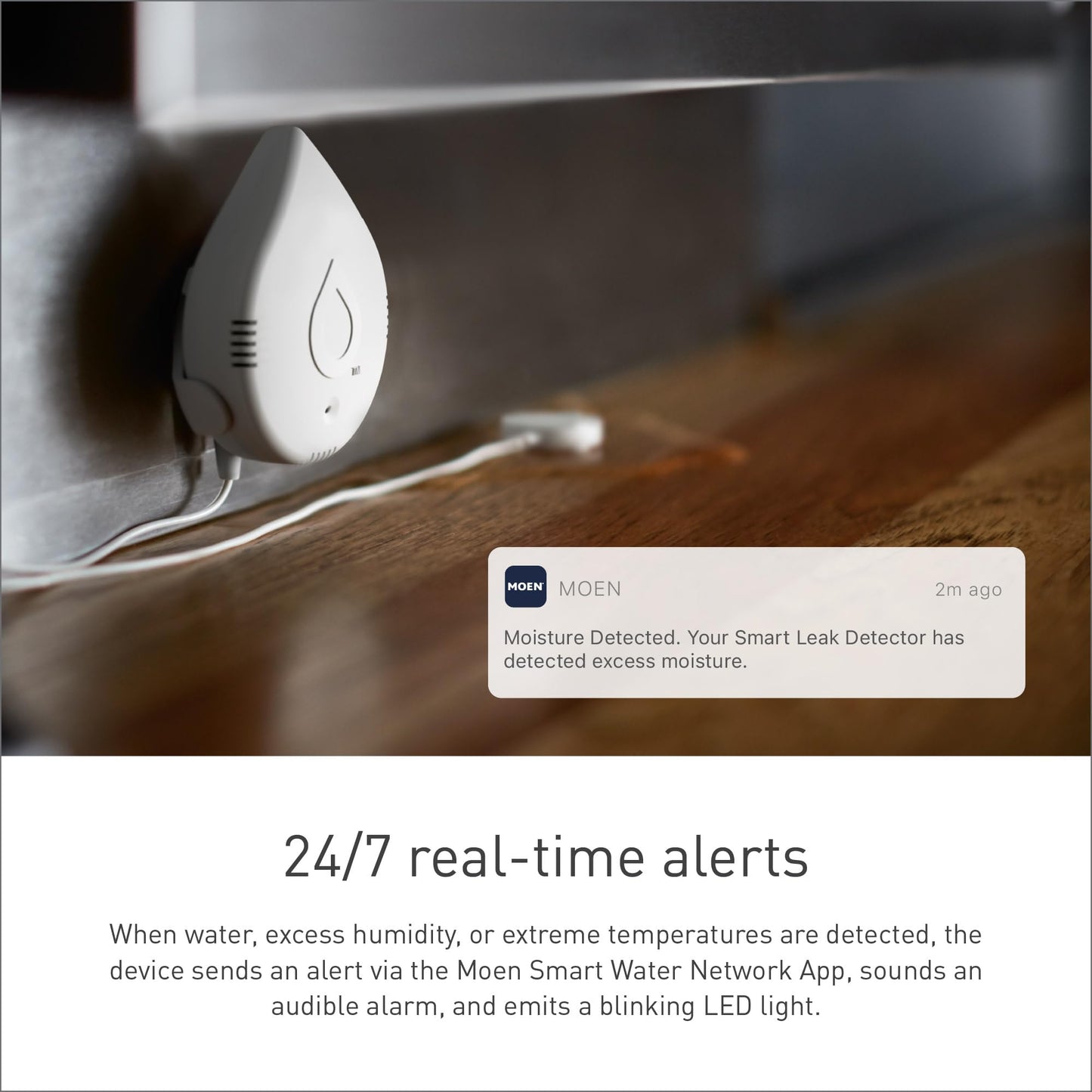 Moen Flo Smart Water Leak Detectors