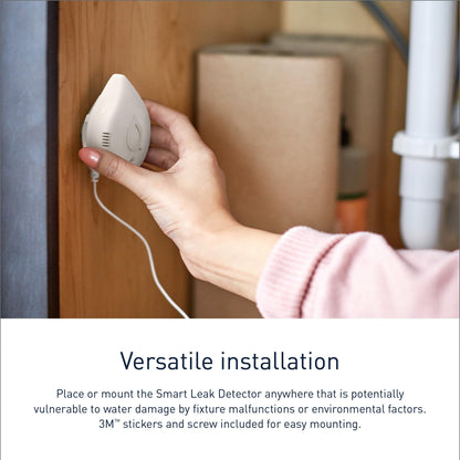 Moen Flo Smart Water Leak Detectors