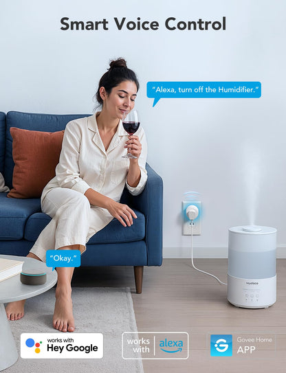 Mini Smart Wi-Fi Plug with Timer Function and Voice Control Support